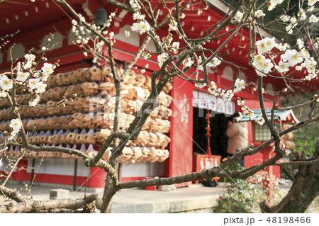 荏柄天神社 48198466