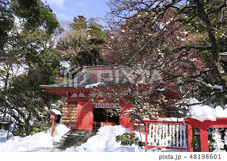 荏柄天神社 荏柄天神社 48198601