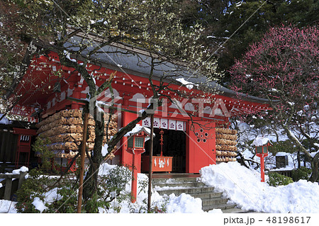 荏柄天神社　 48198617