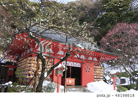 荏柄天神社 荏柄天神社 48198618