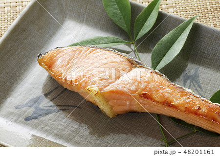 銀鮭の西京焼き11 銀鮭の西京焼き11 48201161