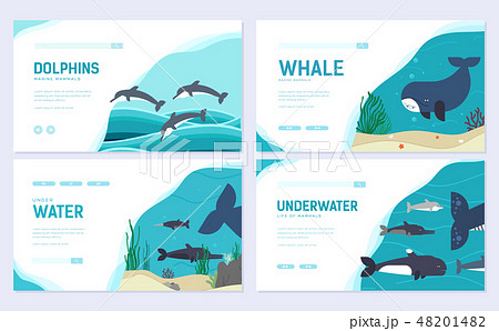 Set of Sea mammals. Art animal brochure card set. fish in ocean life template of flyear, web banner 48201482