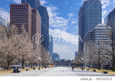 東京駅とオフィス街 東京駅とオフィス街 48202013