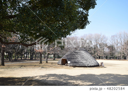 水子貝塚公園 水子貝塚公園 48202584