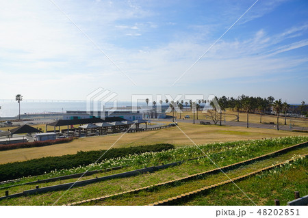 二色浜海浜緑地 大阪府 二色浜海浜緑地 大阪府 48202851
