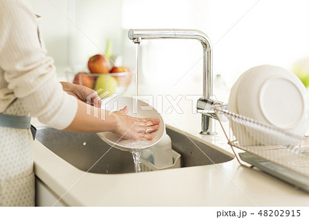 主婦　皿洗い 48202915