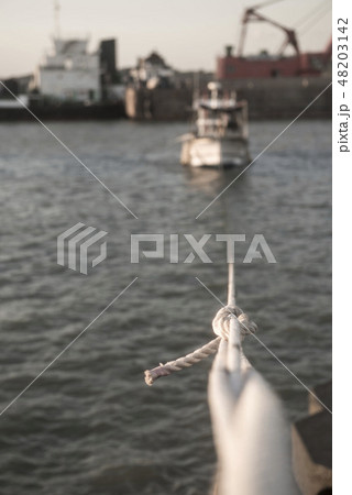 ひも ロープ 縁 48203142