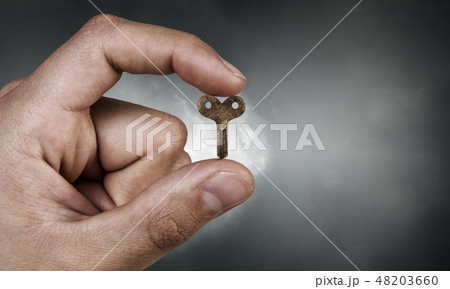 Key between fingers 48203660