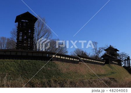 逆井城跡（井楼櫓と物見櫓） 48204003