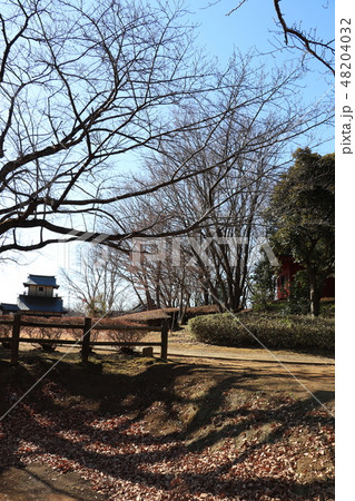 逆井城跡（物見櫓） 48204032