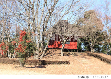 逆井城跡(観音堂) 逆井城跡(観音堂) 48204037