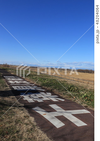 関宿にこにこ水辺公園（千葉県と埼玉県の県境） 48204064