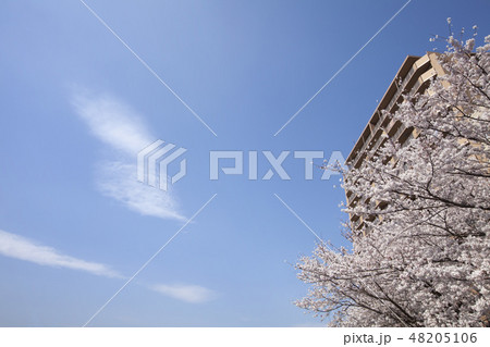 心機一転・新しい生活イメージの光景 48205106