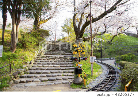 小田原城址公園 こども遊園地 48205377