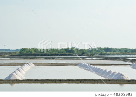 タイ王国中部に見られる塩田の風景（Salt Farm in Thailand） 48205992