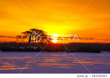 本別海一本松 別海町 本別海一本松 別海町 48206065