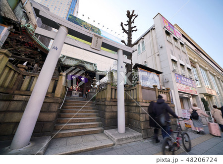 日本の東京都市景観　高山稲荷神社などを望む 48206724