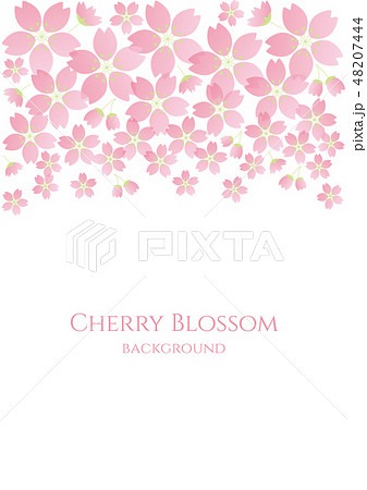 桜柄バックグラウンド 背景 桜 サクラ ピンク 春 縦のイラスト素材