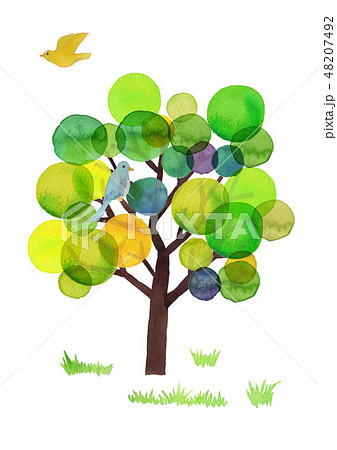 tree & birds 48207492