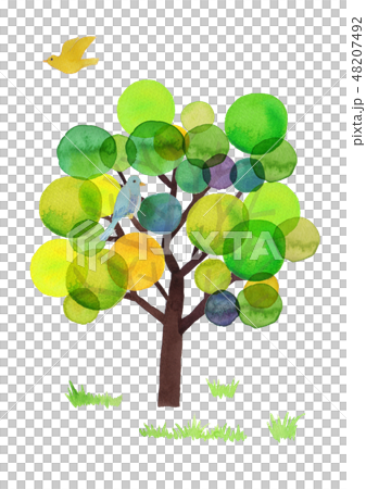 tree & birds 48207492