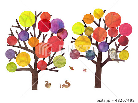 autumn tree 48207495