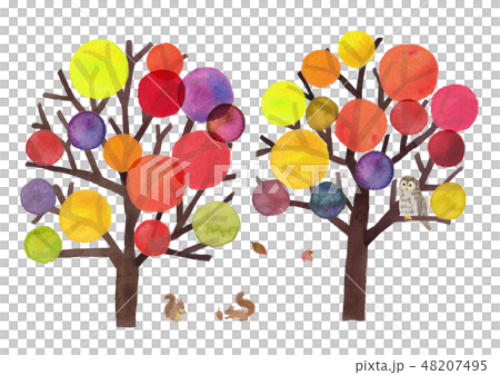 autumn tree 48207495