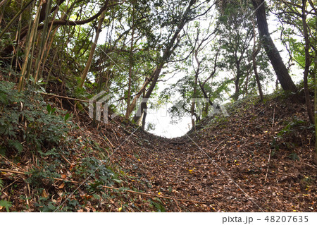 稲村城跡　堀切 48207635