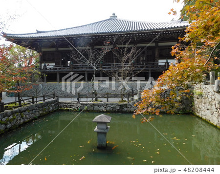 第二十五番播州清水寺 第二十五番播州清水寺 48208444