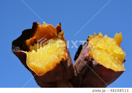 しっとり甘～い焼き芋、シルクスイート、青空 48208513