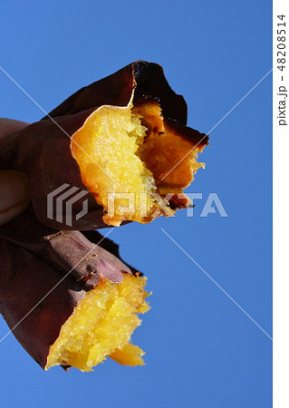 しっとり甘～い焼き芋、シルクスイート、青空 48208514