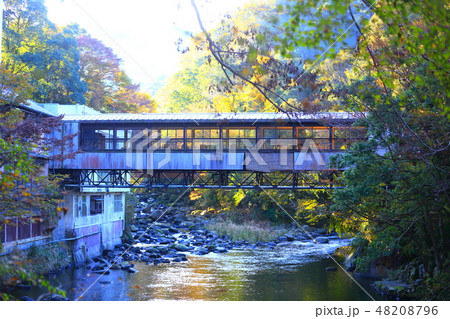 伊豆湯ヶ島落合風景 48208796