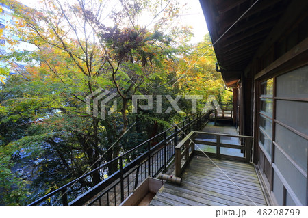 伊豆湯ヶ島落合風景 伊豆湯ヶ島落合風景 48208799