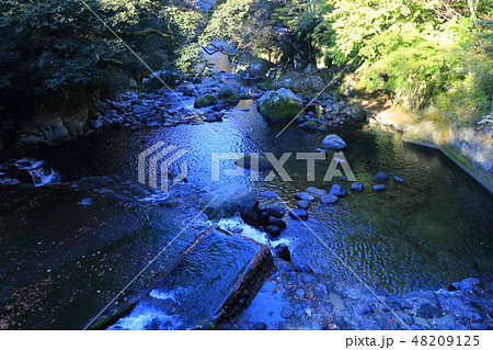 伊豆湯ヶ島落合風景 48209125