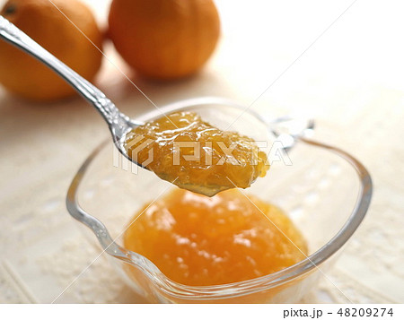 手作りジャム　柑橘類　じゃばら 48209274