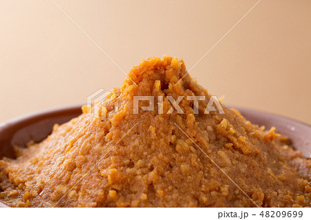 味噌 味噌 48209699
