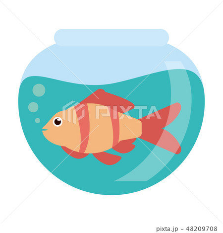 Fish in crystal bowl 48209708