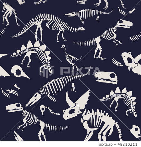 Vector t-rex dinosaur fossil skeleton icon on blue 48210211