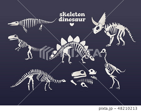 Vector T Rex Dinosaur Fossil Skeleton Icon On Blueのイラスト素材