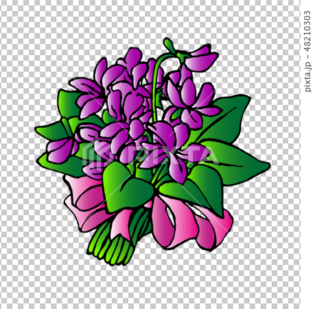 Violet illustration Violet illustration 48210303