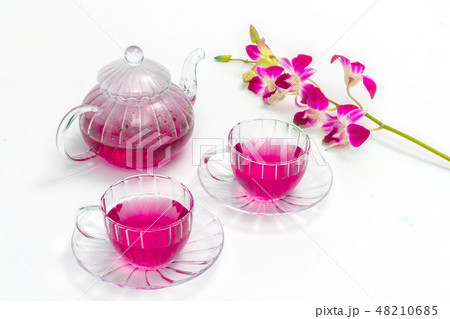 世界のハーブティー　Herbal tea of ​​the world 48210685