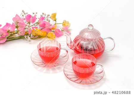 世界のハーブティー　Herbal tea of ​​the world 48210688