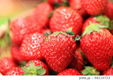 いちご イメージ 48210723