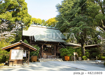 報徳二宮神社 48210809