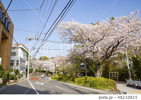 報徳二宮神社横の道 48210815