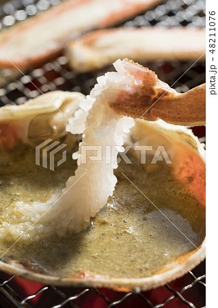 焼きガニ 48211076