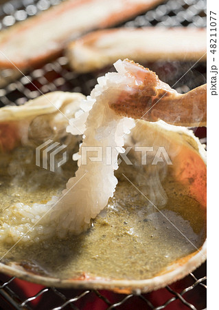 焼きガニ 焼きガニ 48211077