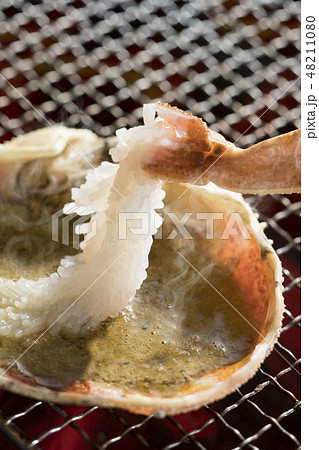 焼きガニ 焼きガニ 48211080