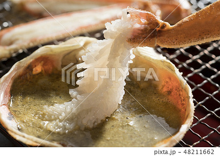 焼きガニ 焼きガニ 48211662