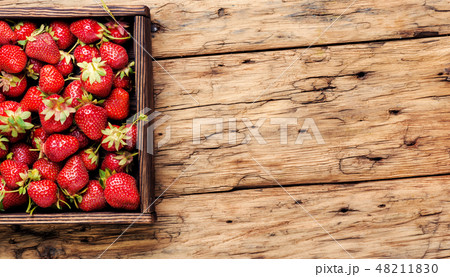 Ripe red strawberries Ripe red strawberries 48211830