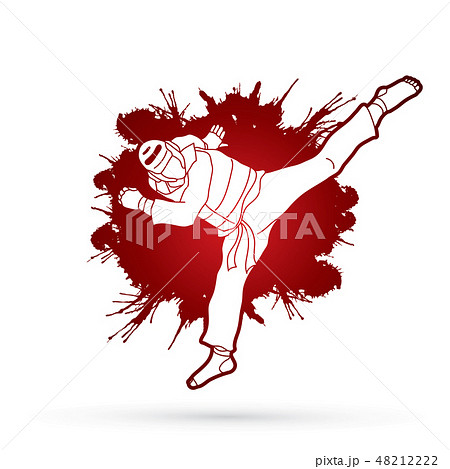 Taekwondo jump kick action with guard equipment Taekwondo jump kick action with guard equipment 48212222